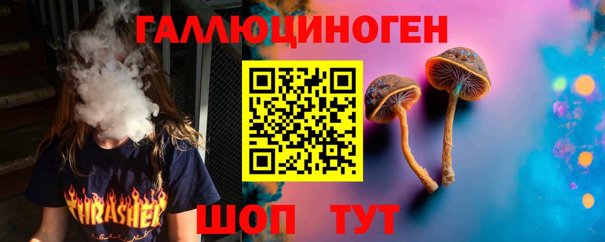 Псилоцибиновые грибы Psilocybine cubensis Севастополь